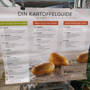 Læggekartofler