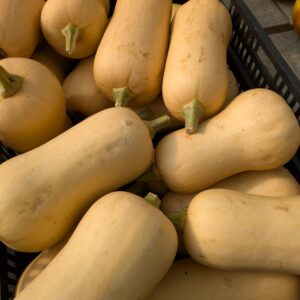 Butternutsquash